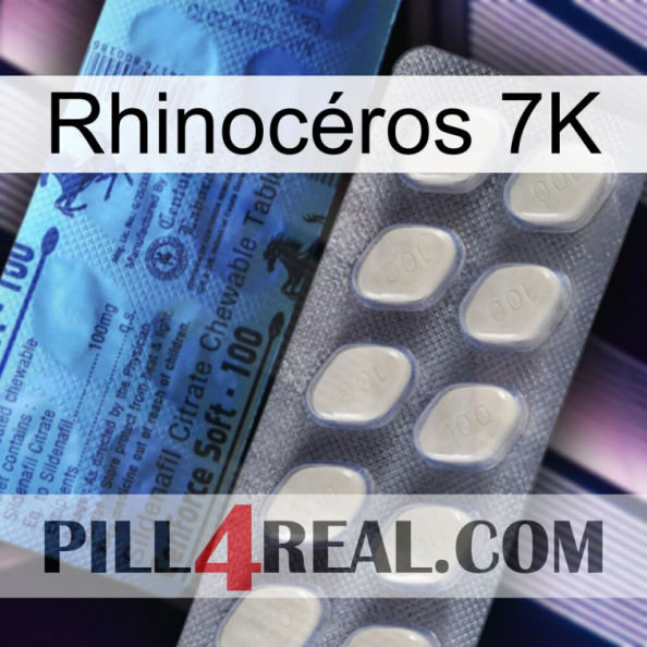 Rhinocéros 7K 34